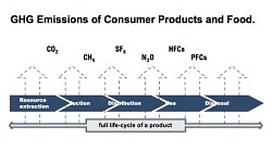 life_cycle.jpg